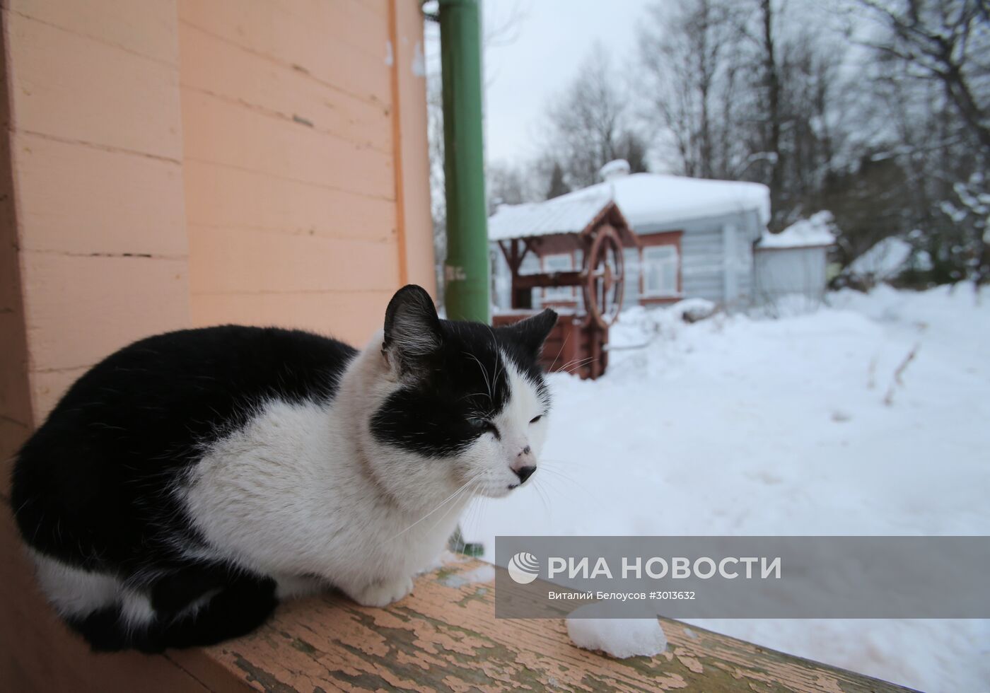 Государственный литературно-мемориальный музей-заповедник А.П. Чехова "Мелихово"