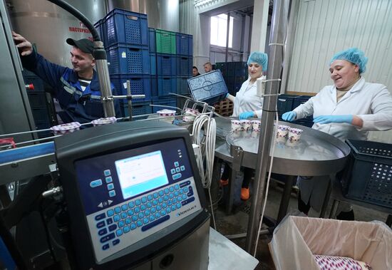Производство молочной продукции в Калининградской области