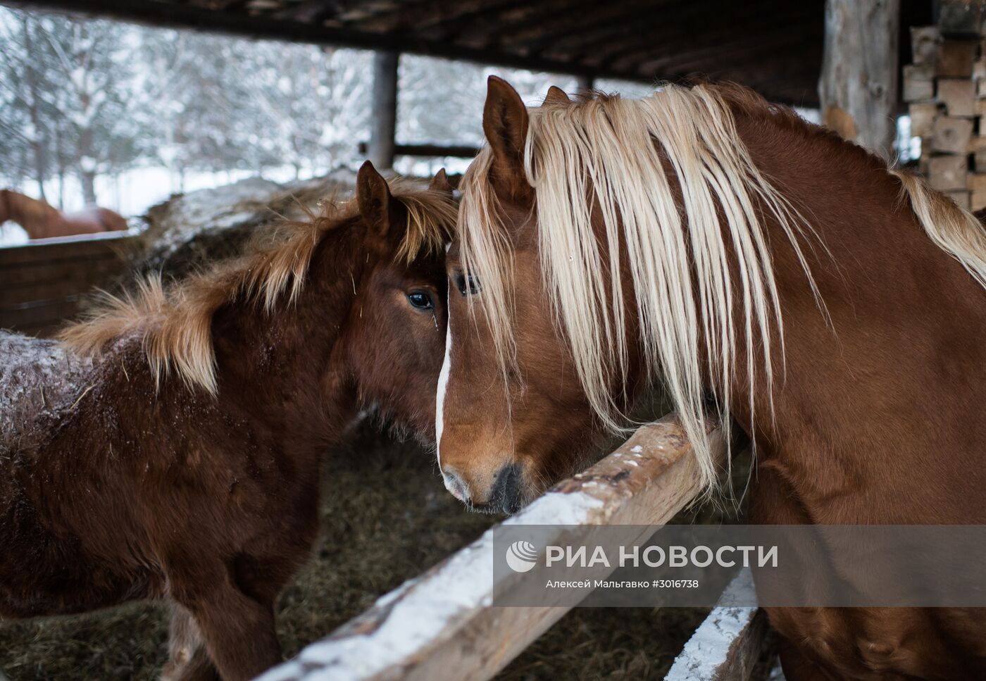 Зима в Омской области