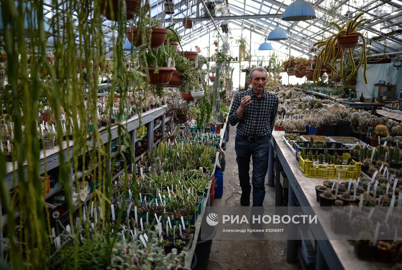 Оранжереи Центрального Сибирского ботанического сада СО РАН