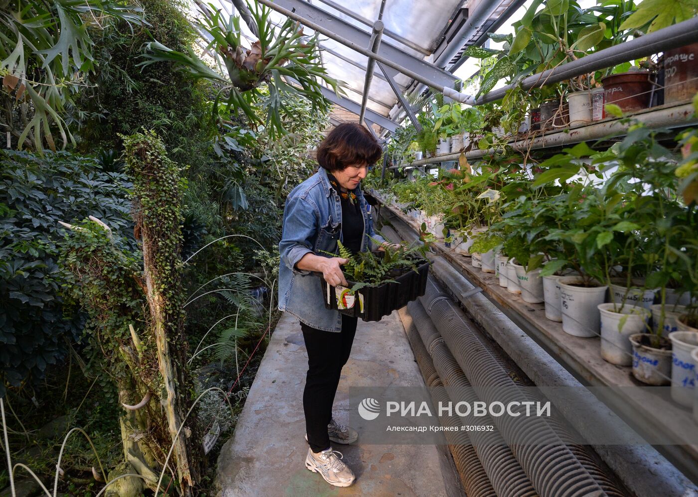 Оранжереи Центрального Сибирского ботанического сада СО РАН