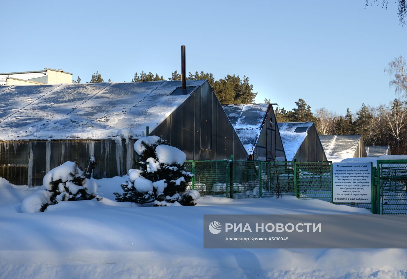 Оранжереи Центрального Сибирского ботанического сада СО РАН