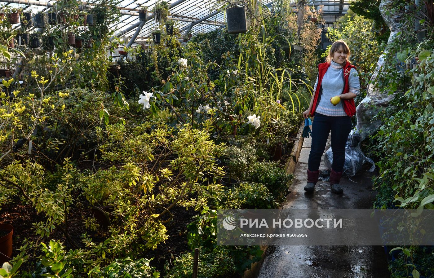 Оранжереи Центрального Сибирского ботанического сада СО РАН