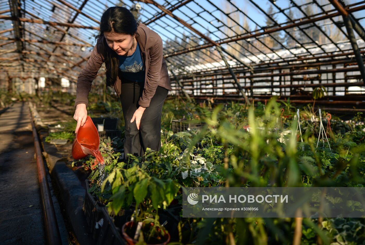 Оранжереи Центрального Сибирского ботанического сада СО РАН