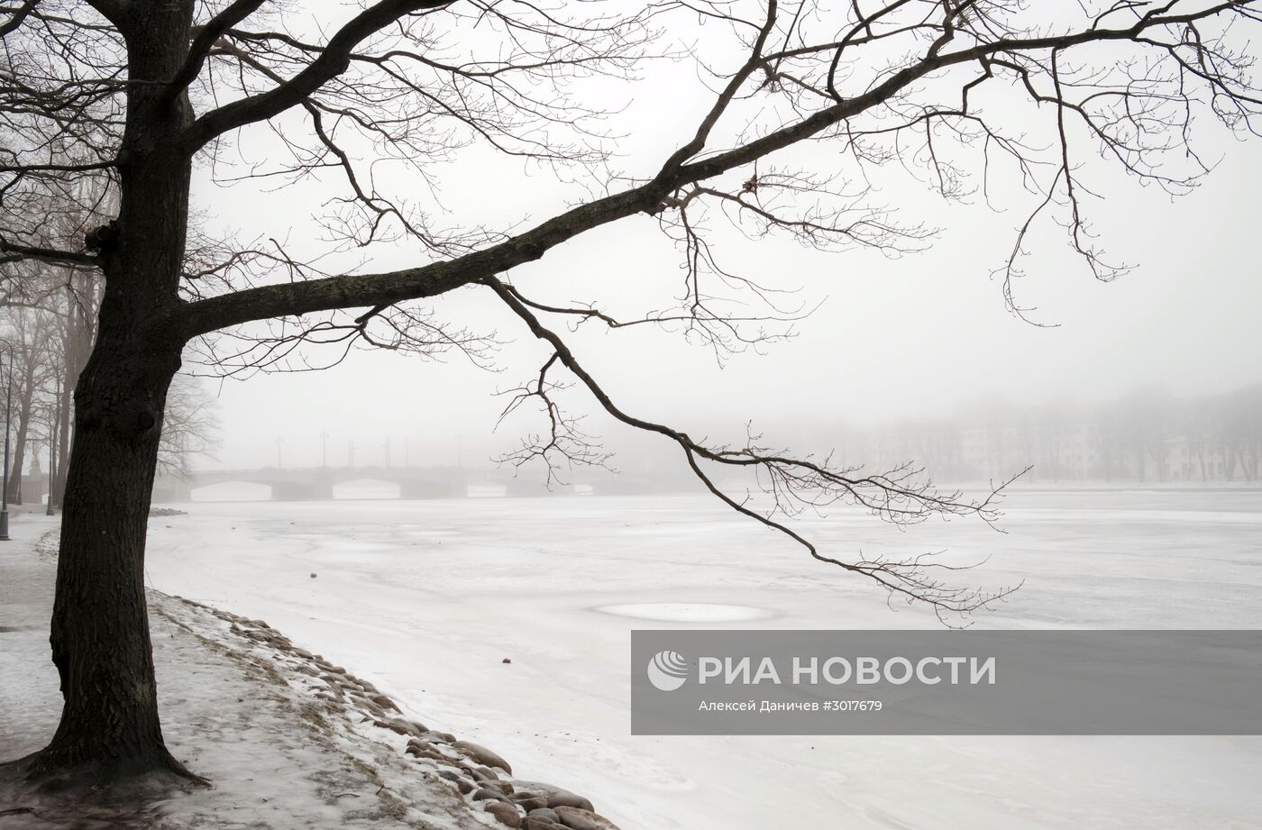 Туман в Санкт-Петербурге