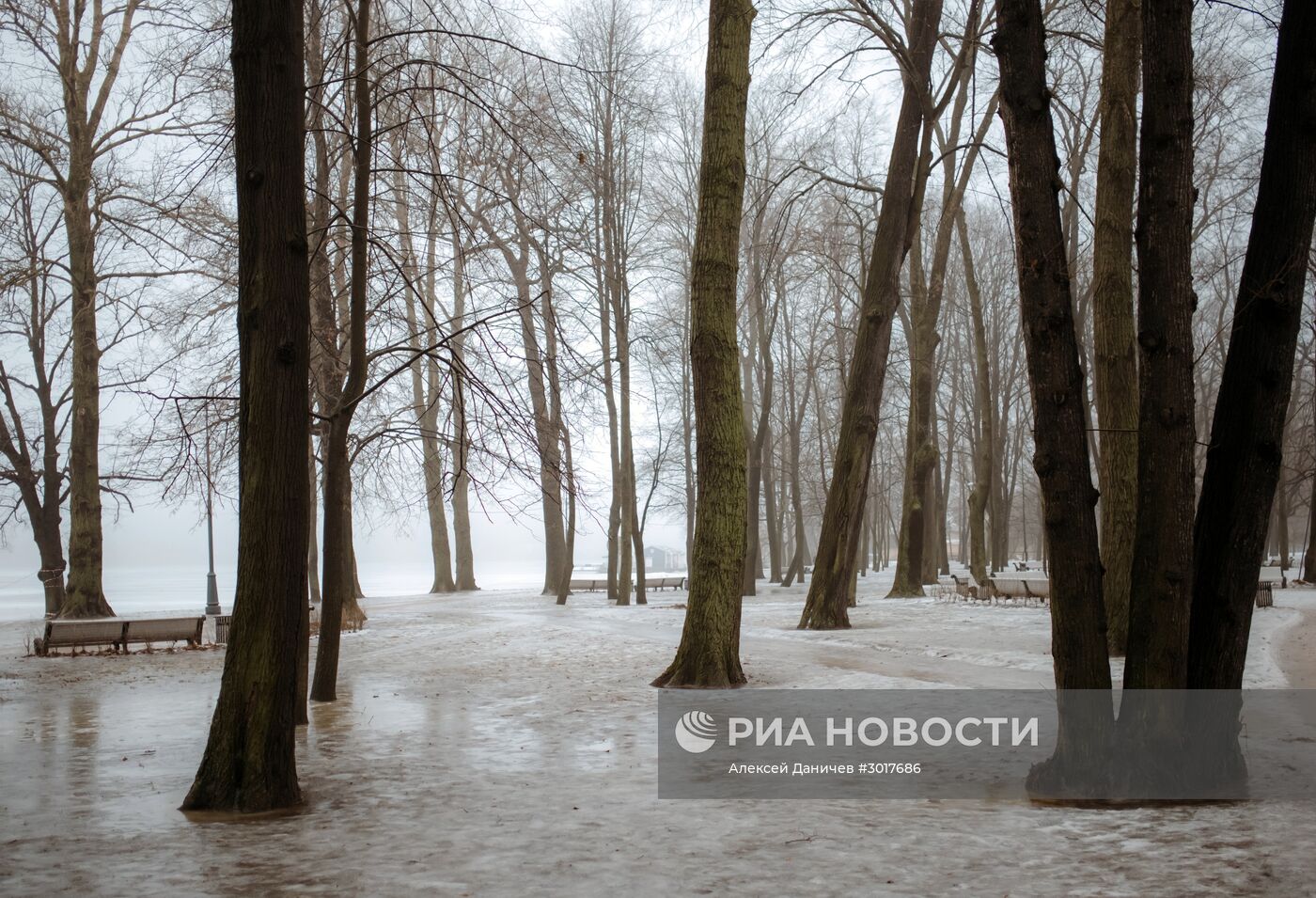 Туман в Санкт-Петербурге