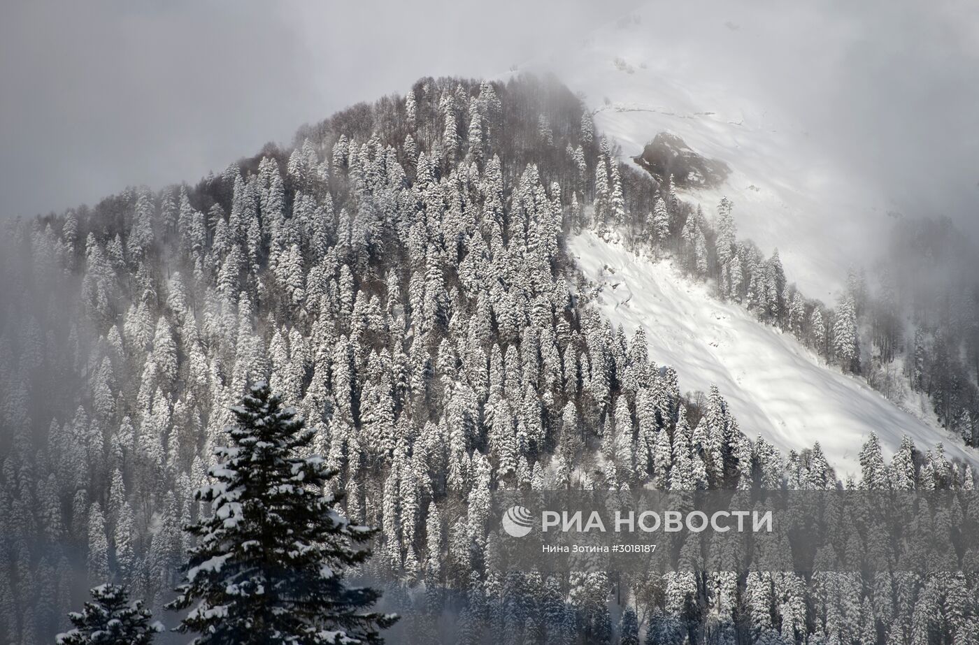 Зимние курорты Сочи