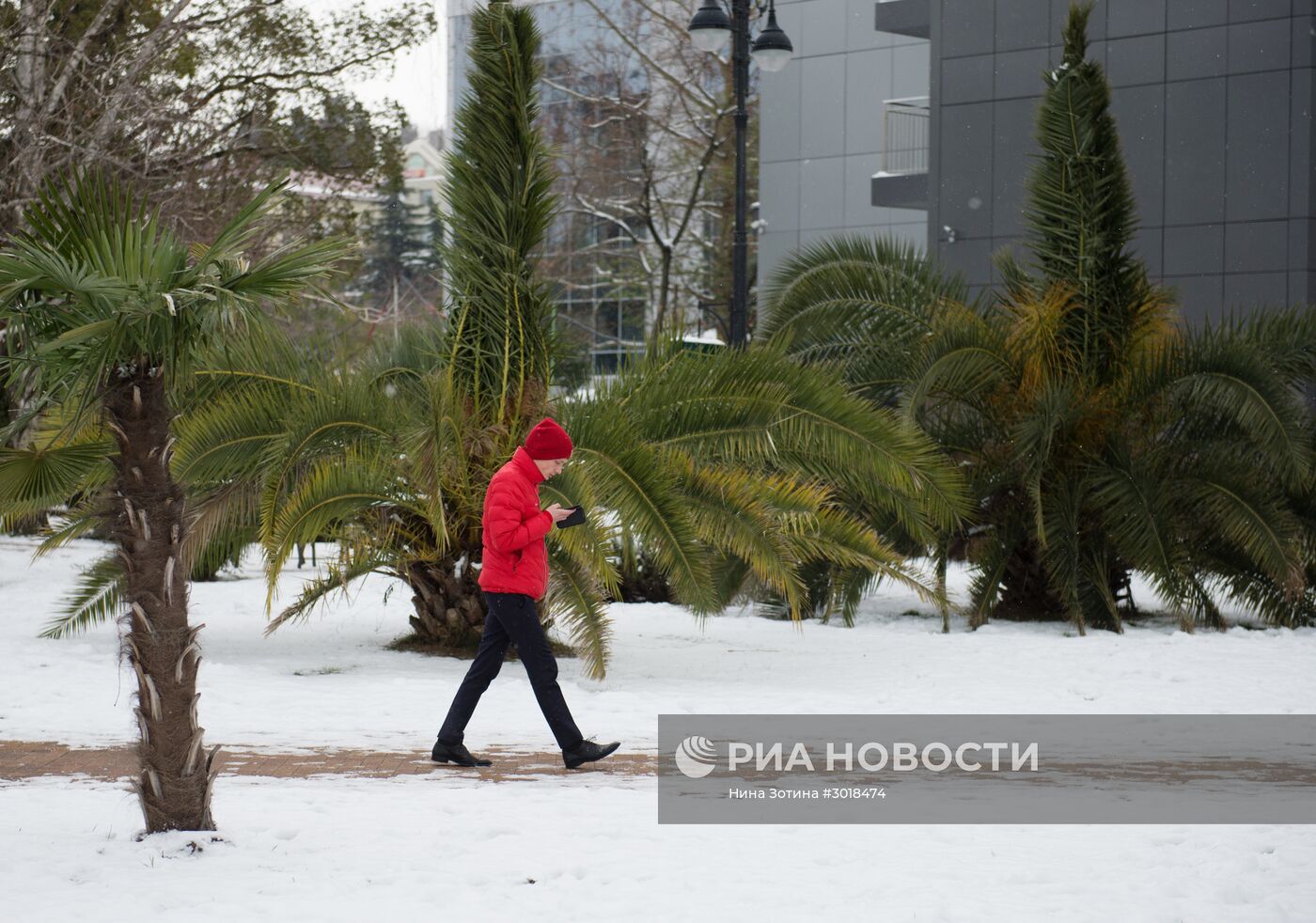 Снегопад в Сочи Снегопад в Сочи