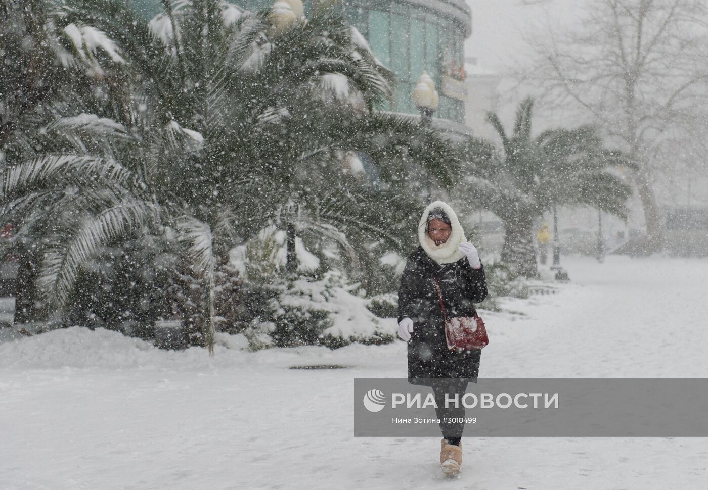 Снегопад в Сочи