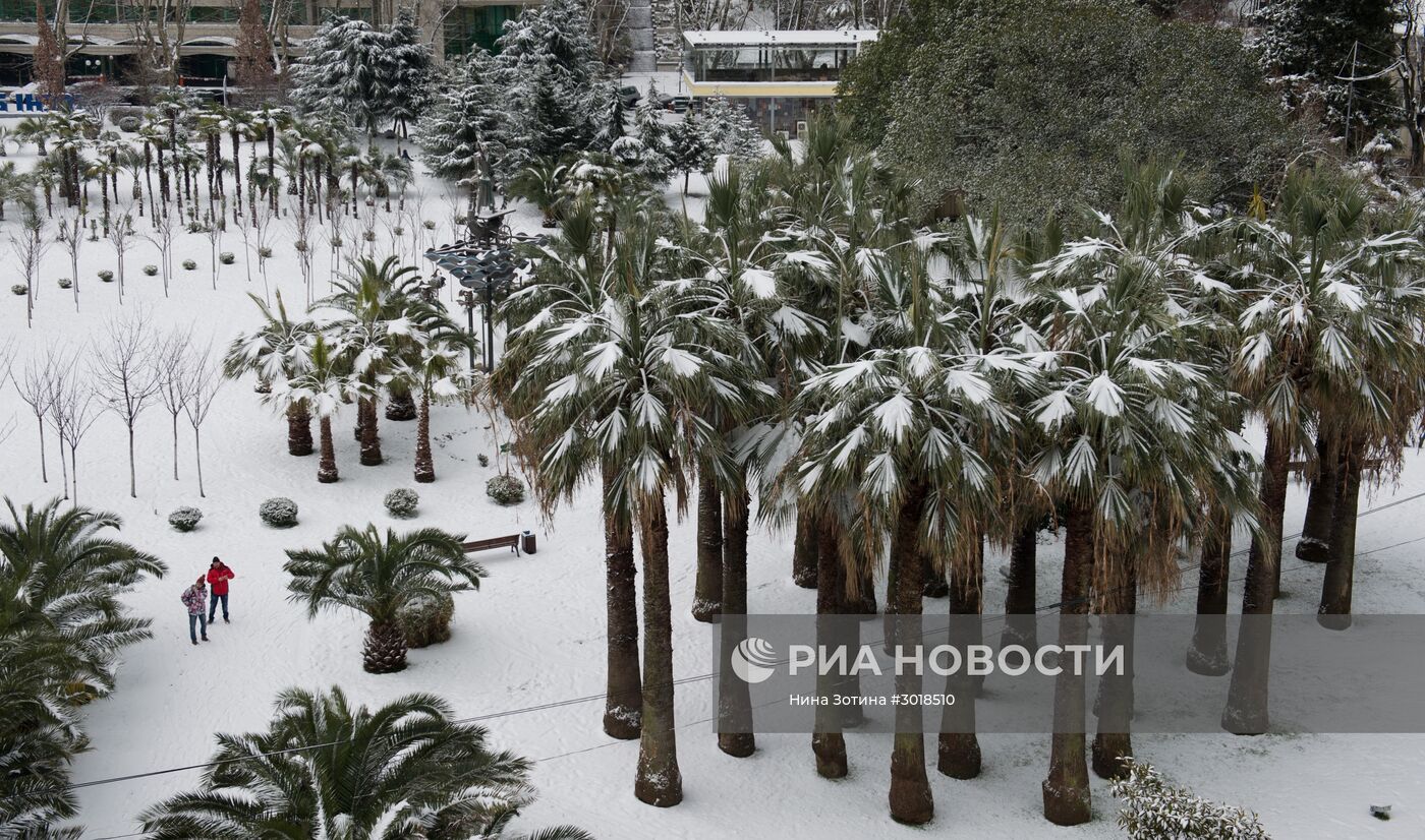 Снегопад в Сочи