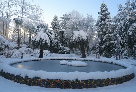 Зима в Абхазии