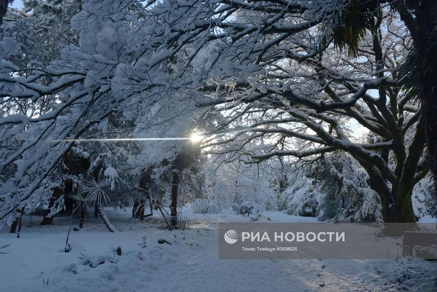 Зима в Абхазии