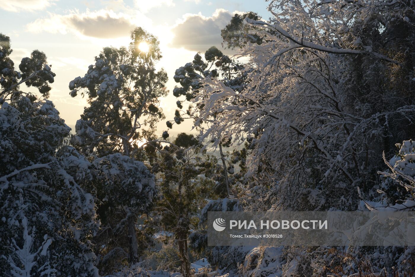 Зима в Абхазии