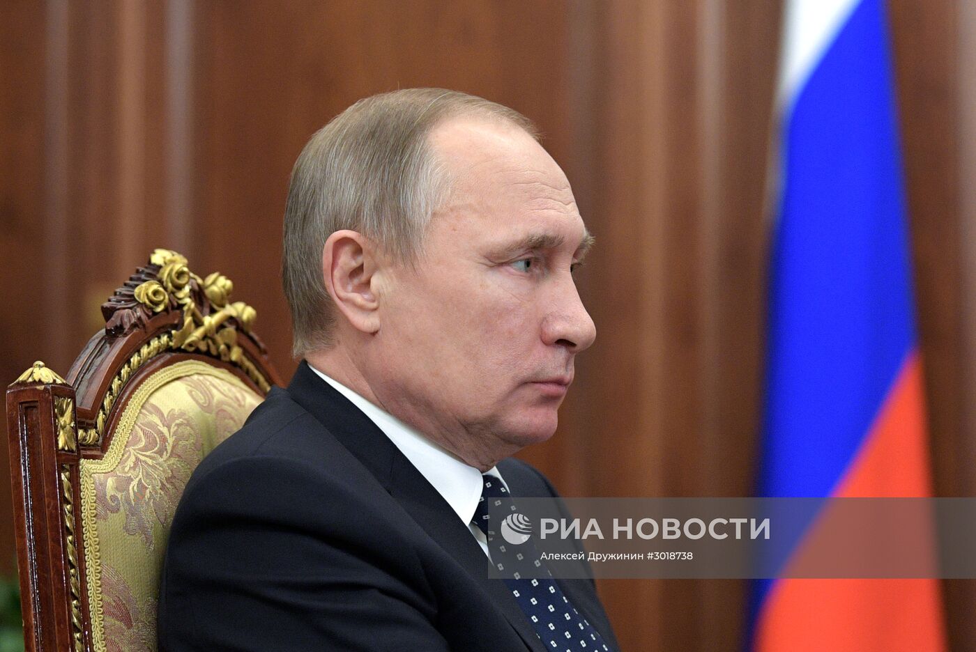 Президент РФ В. Путин встретился с гендиректором ГМК "Норильский Никель" В. Потаниным