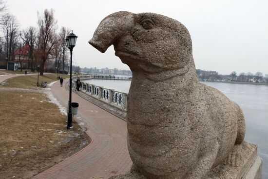 Скульптура морского слона в Калининграде