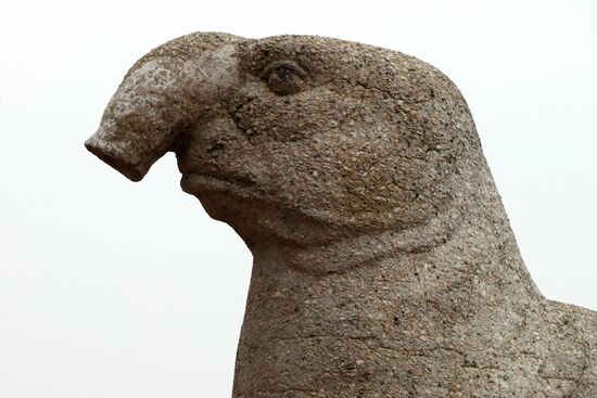 Скульптура морского слона в Калининграде