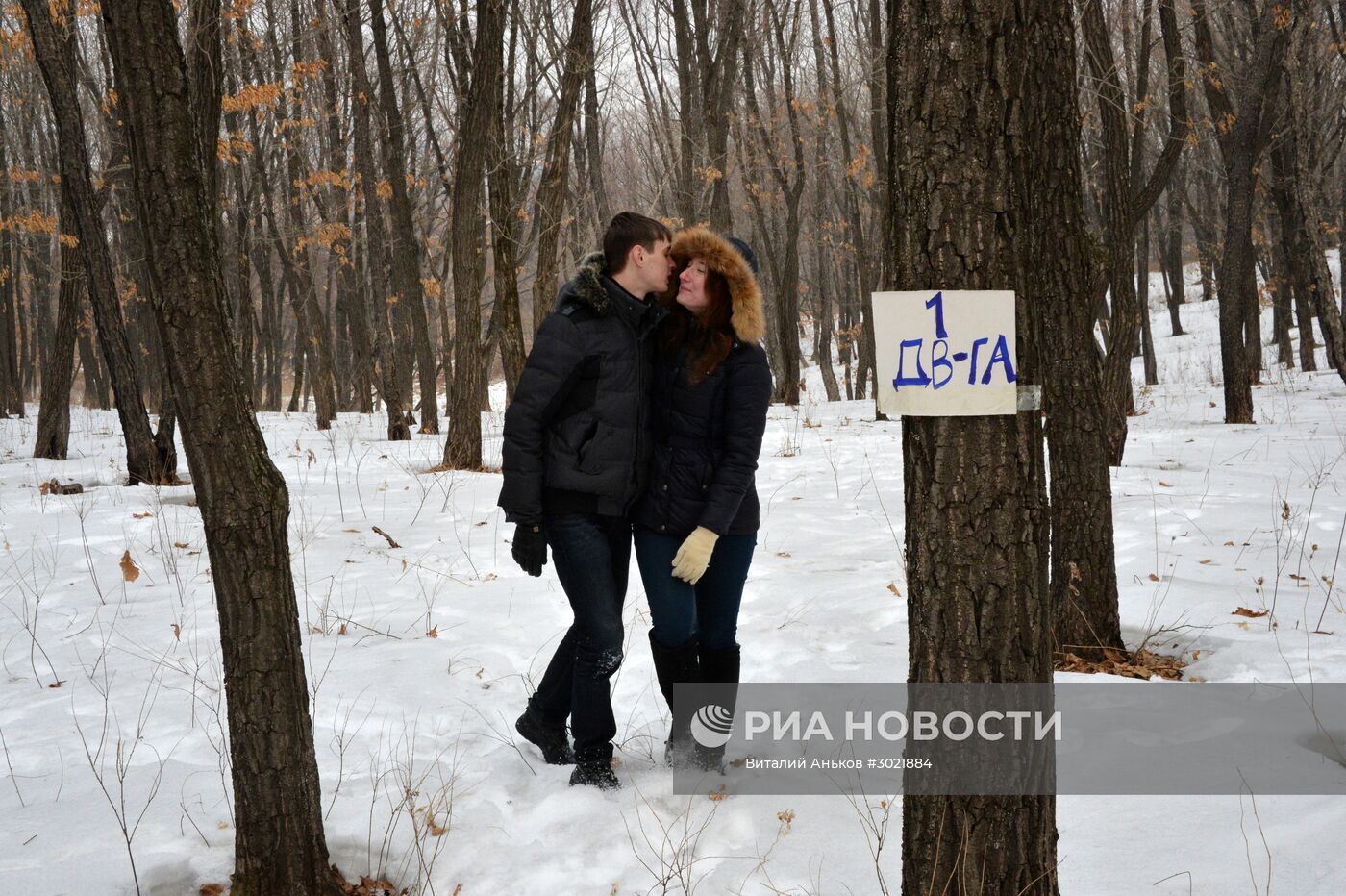 Россияне начали получать землю на Дальнем Востоке