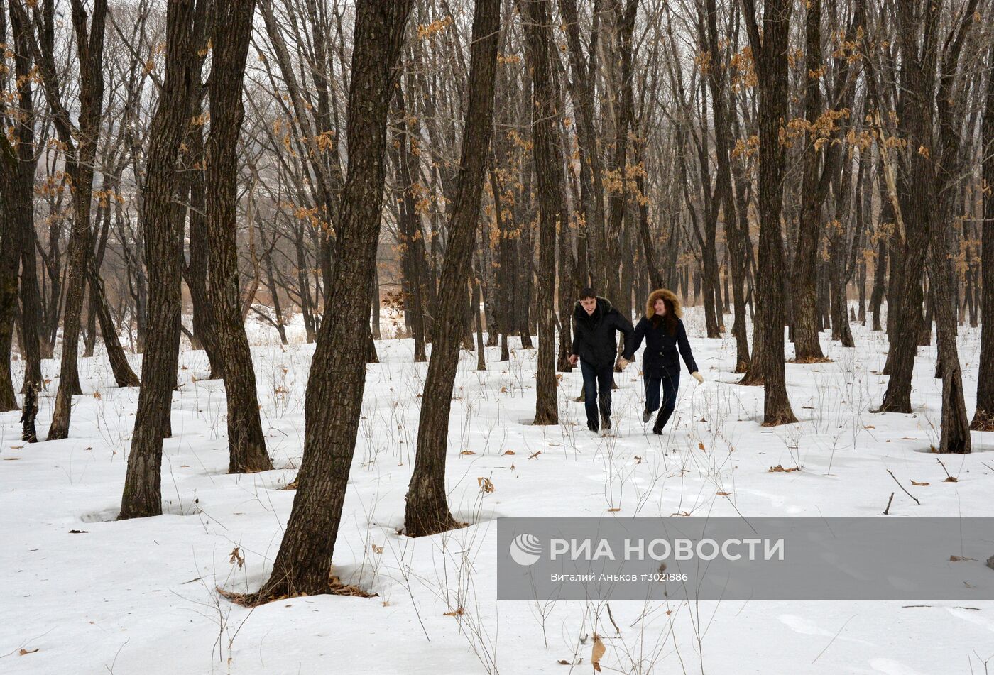 Россияне начали получать землю на Дальнем Востоке