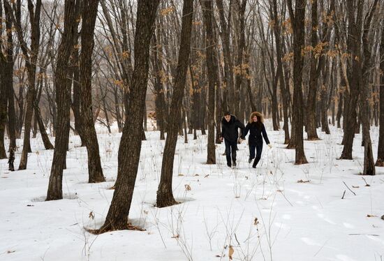 Россияне начали получать землю на Дальнем Востоке