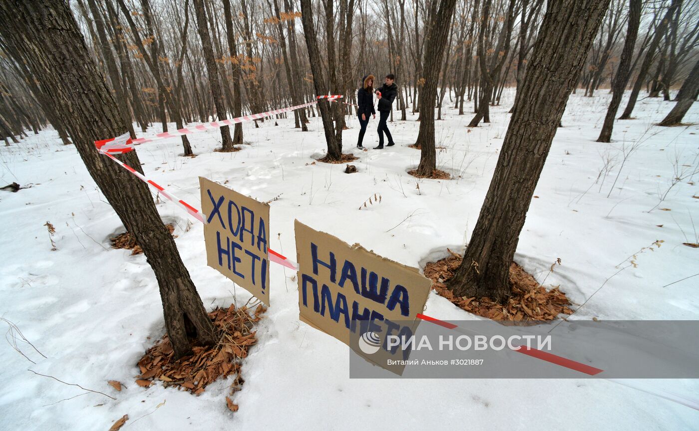 Россияне начали получать землю на Дальнем Востоке