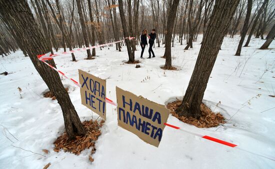 Россияне начали получать землю на Дальнем Востоке