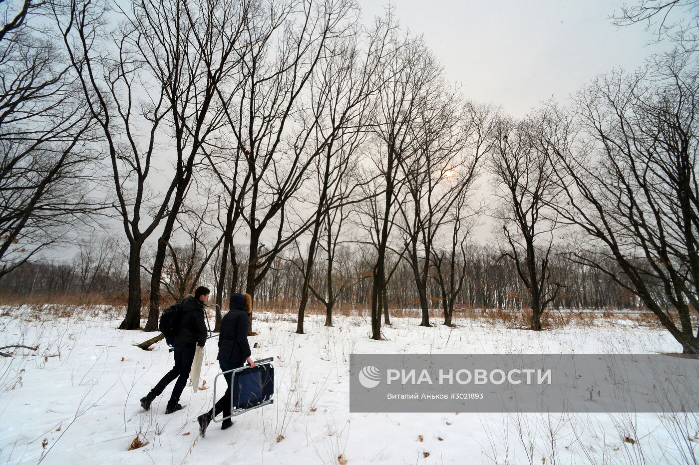 Россияне начали получать землю на Дальнем Востоке