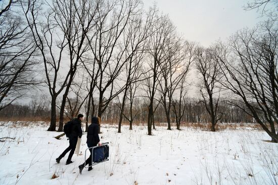 Россияне начали получать землю на Дальнем Востоке