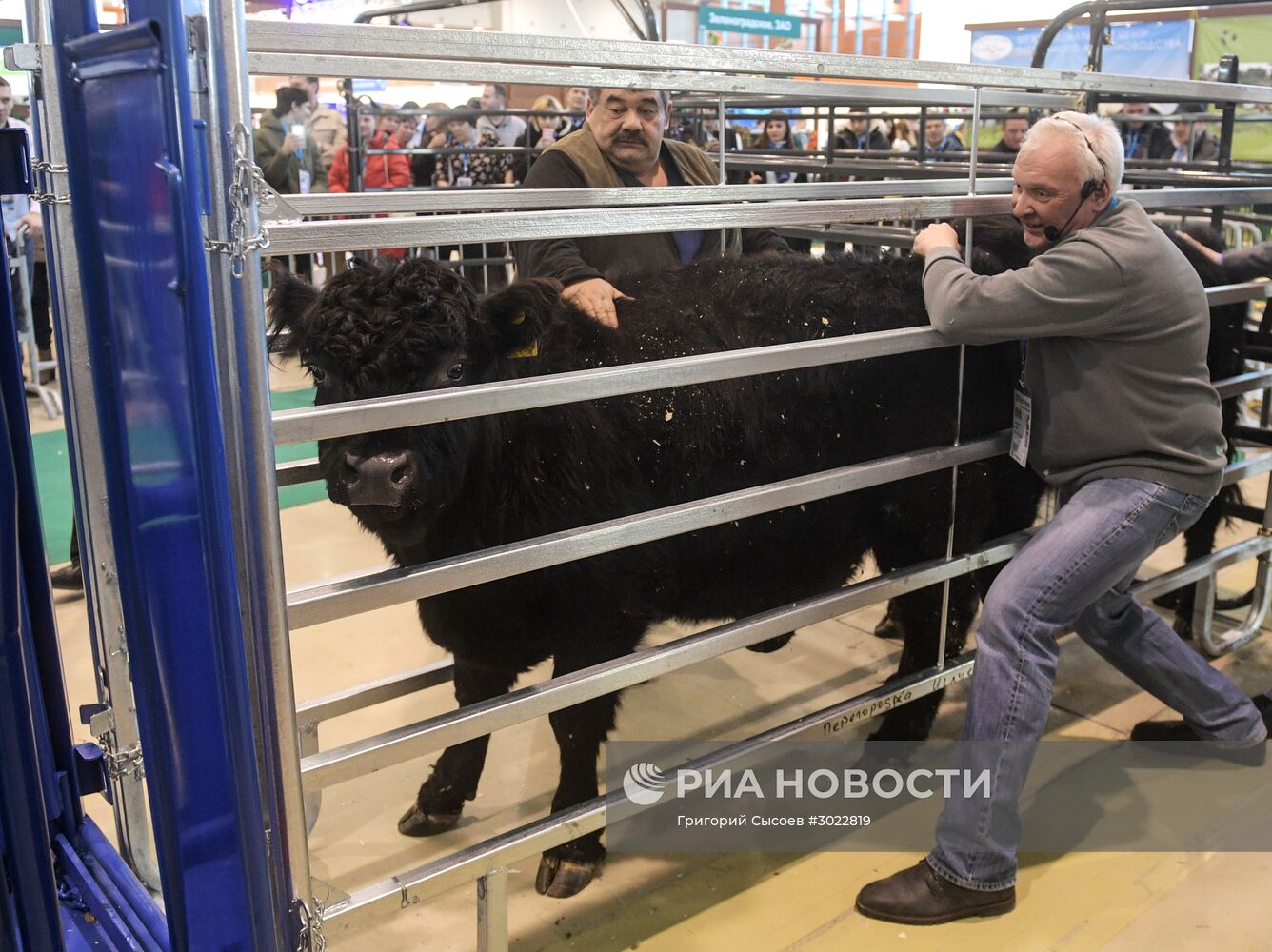 Международная специализированная выставка животноводства "АгроФарм-2017"