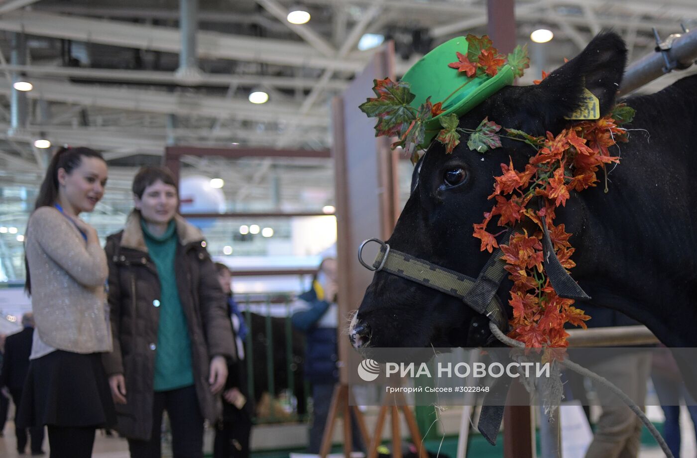 Международная специализированная выставка животноводства "АгроФарм-2017"