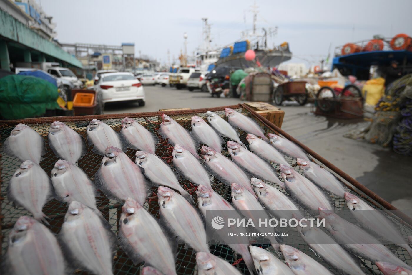 Страны мира. Республика Корея