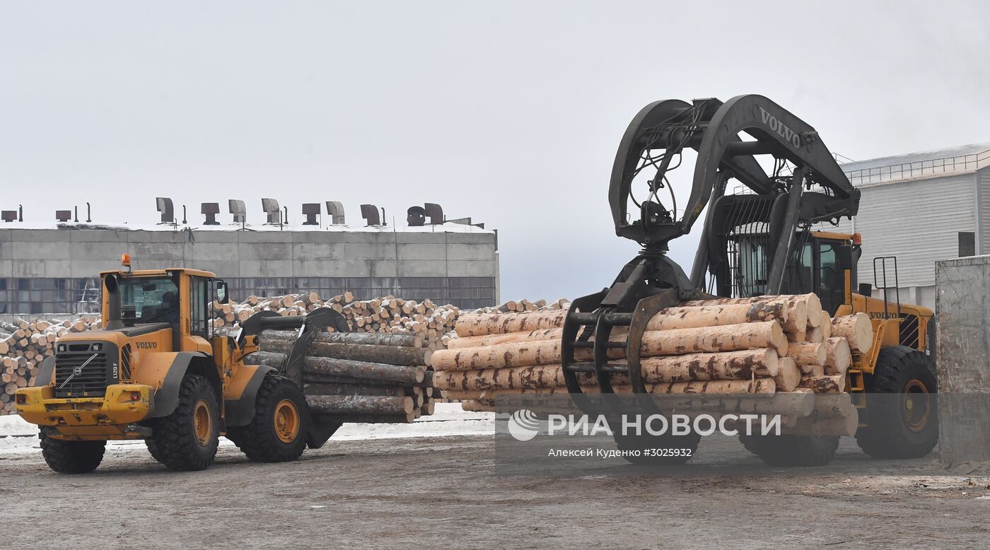 Завод LVL "Талион Терра" в Тверской области