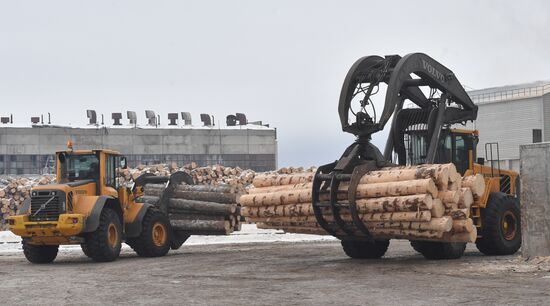 Завод LVL "Талион Терра" в Тверской области