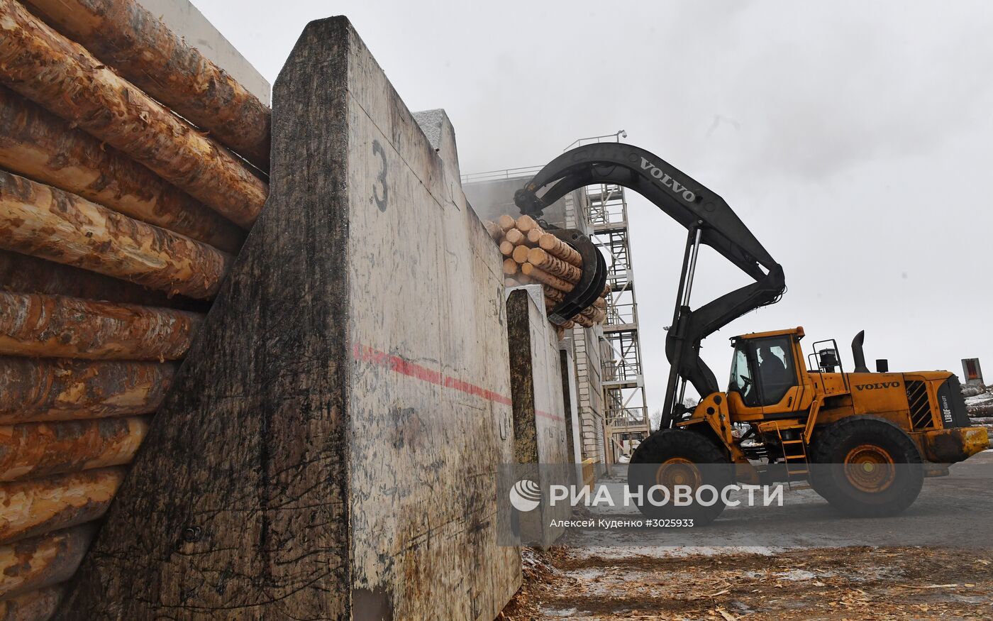 Завод LVL "Талион Терра" в Тверской области
