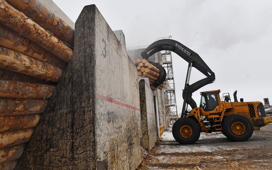 Завод LVL "Талион Терра" в Тверской области