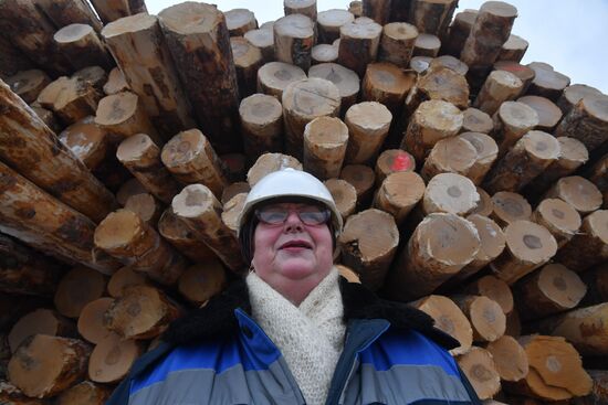 Завод LVL "Талион Терра" в Тверской области