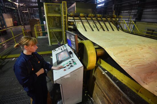 Завод LVL "Талион Терра" в Тверской области