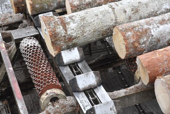 Завод LVL "Талион Терра" в Тверской области