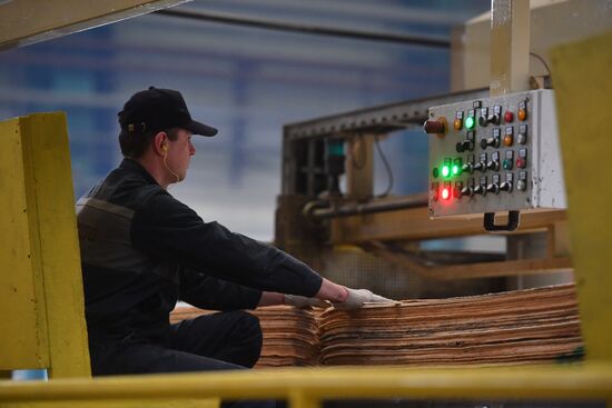 Завод LVL "Талион Терра" в Тверской области