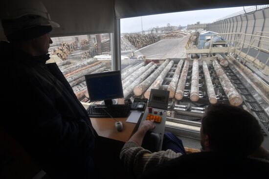 Завод LVL "Талион Терра" в Тверской области