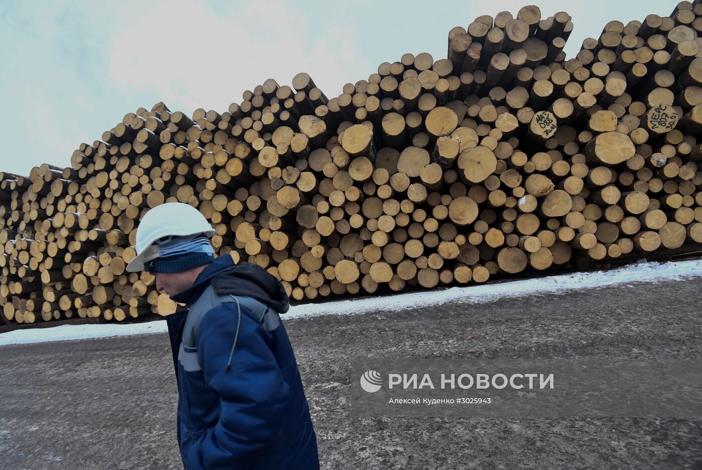 Завод LVL "Талион Терра" в Тверской области