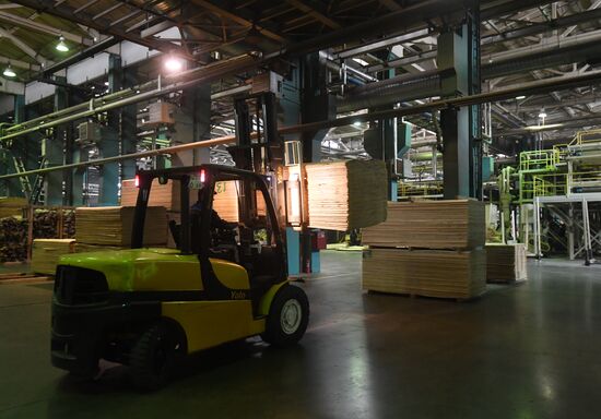 Завод LVL "Талион Терра" в Тверской области