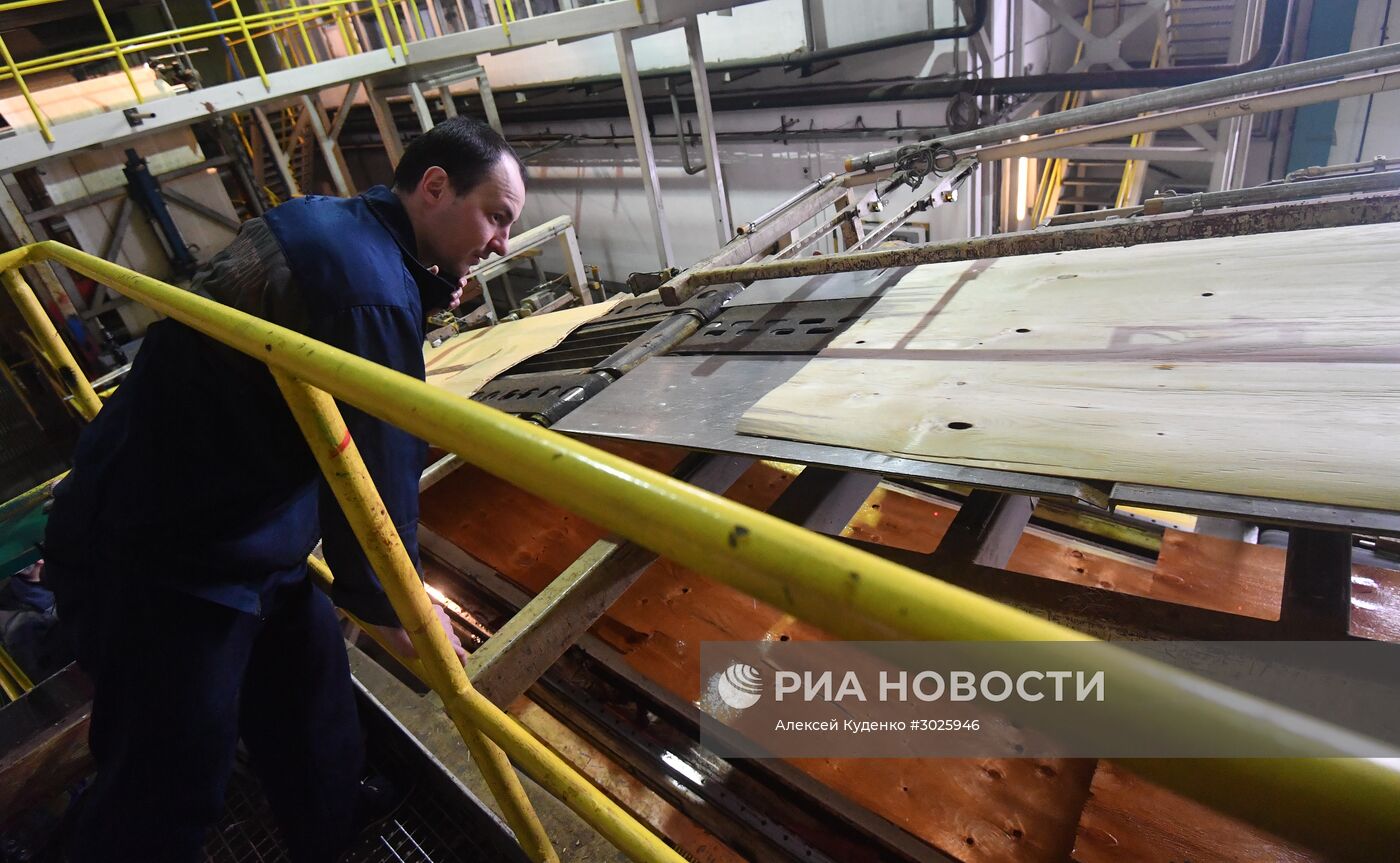 Завод LVL "Талион Терра" в Тверской области