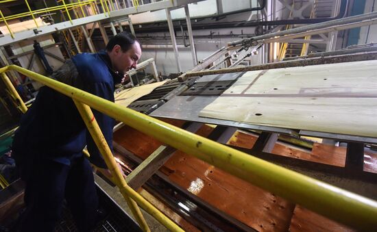 Завод LVL "Талион Терра" в Тверской области