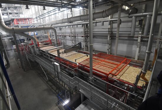 Завод LVL "Талион Терра" в Тверской области