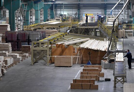 Завод LVL "Талион Терра" в Тверской области