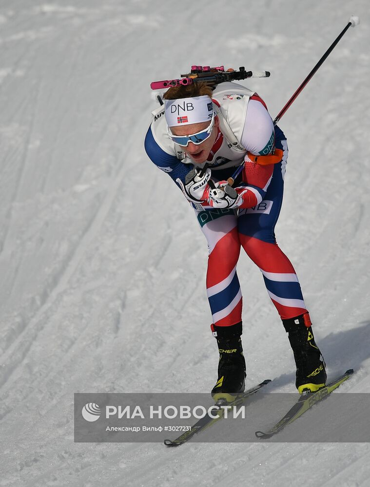 Биатлон. Чемпионат мира. Мужчины. Гонка преследования