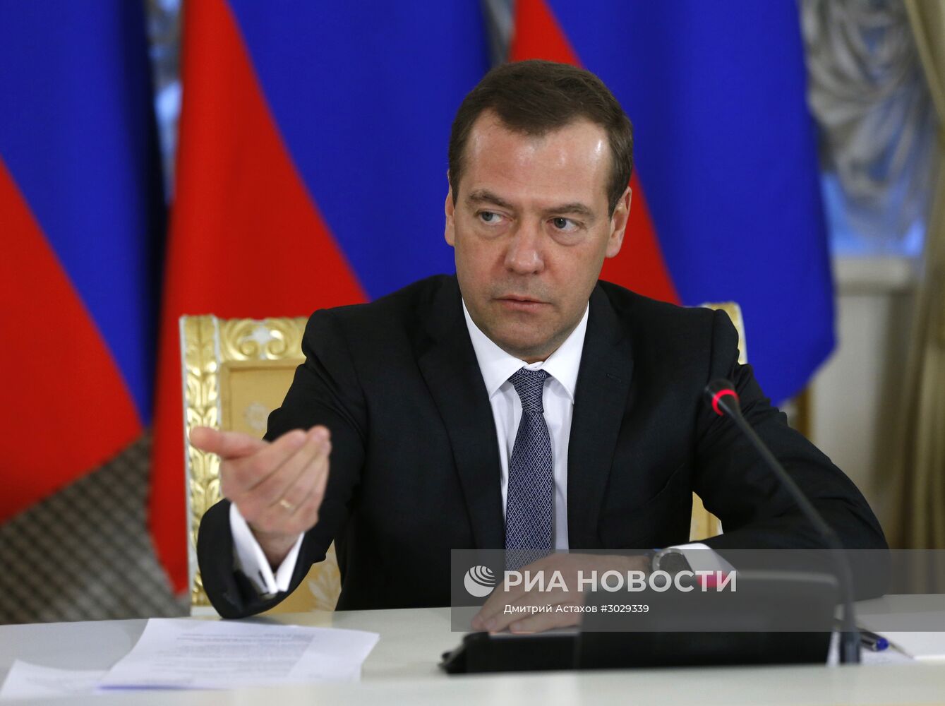 Премьер-министр РФ Д. Медведев встретился с членами Совета палаты Совета Федерации Федерального Собрания РФ