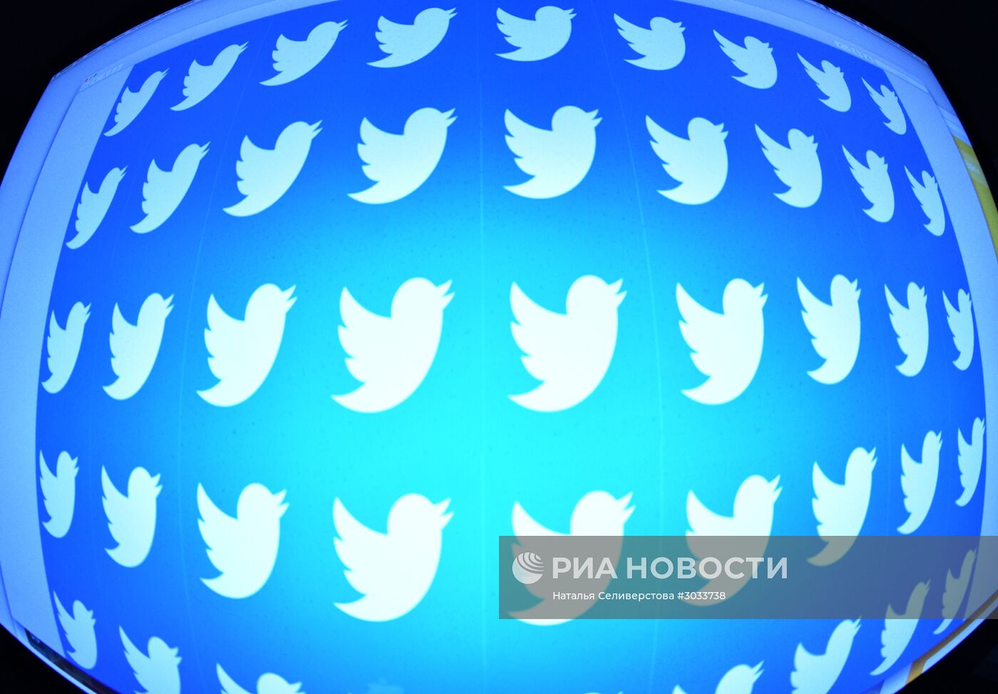 Социальная сеть Twitter