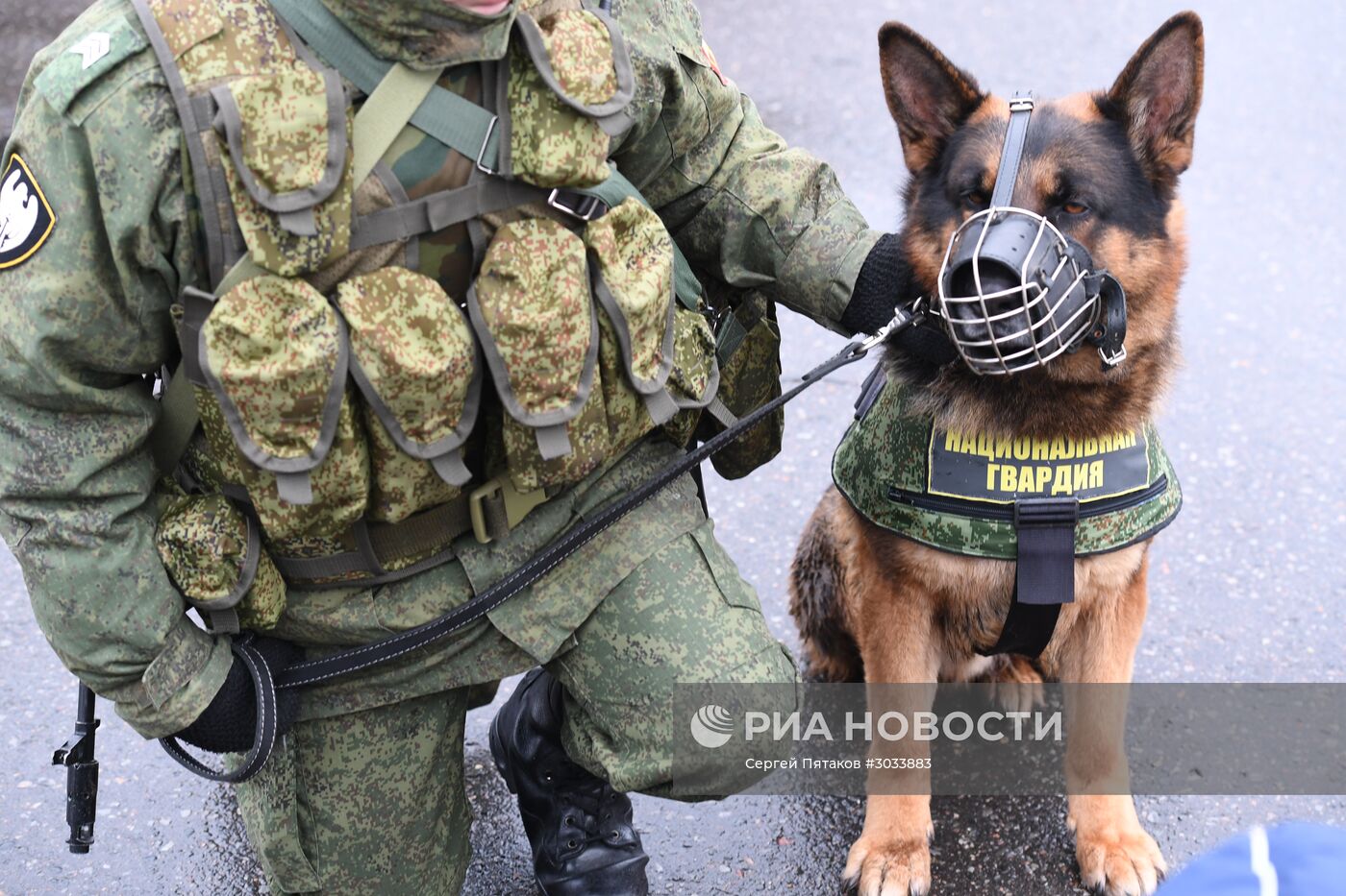 Курсы боевой подготовки, приуроченные к Дню защитника отечества
