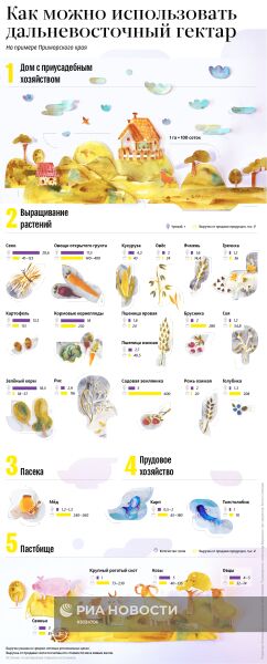 Как можно использовать дальневосточный гектар